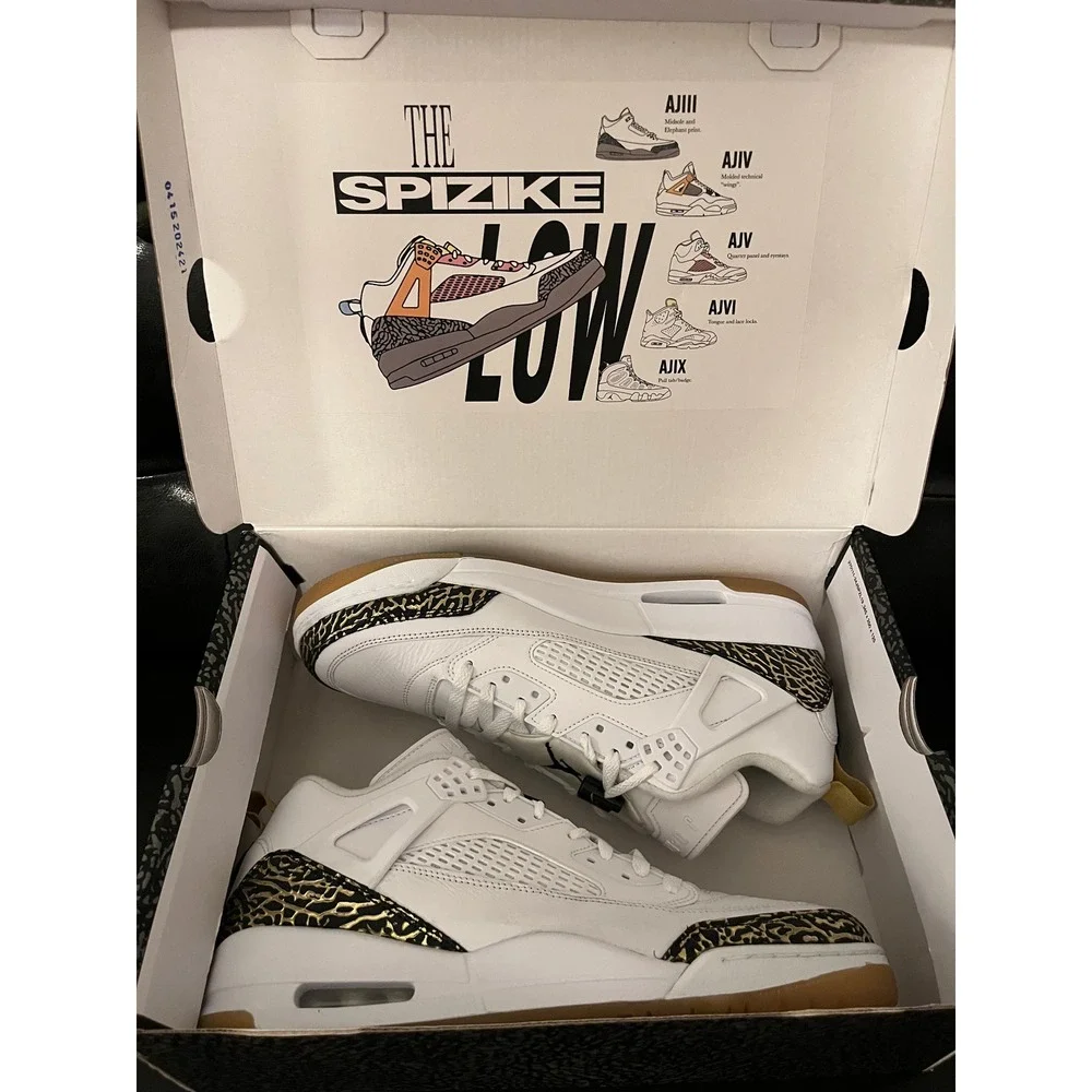 Jordan clean spizike